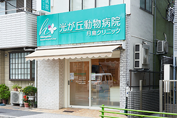 光が丘動物病院月島クリニック 外観