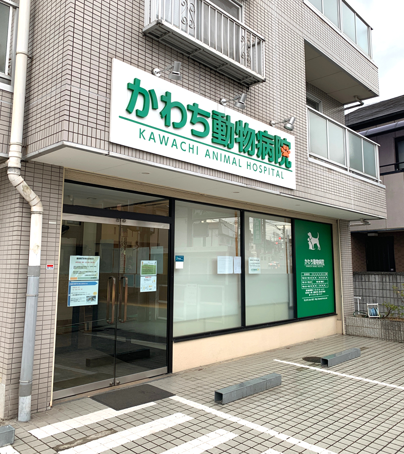 かわち動物病院 外観
