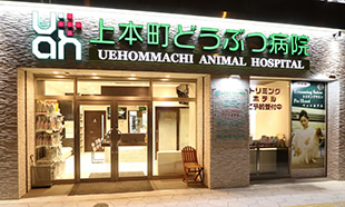 上本町どうぶつ病院 外観