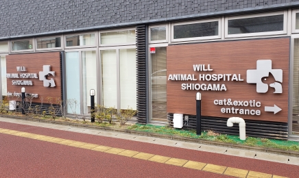 ウイル動物病院 塩釜病院 外観